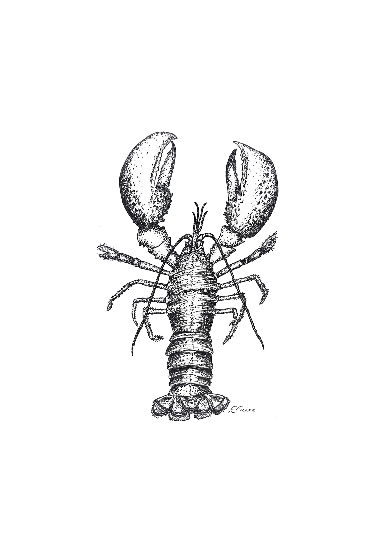 A3 'Larry' Lobster Print