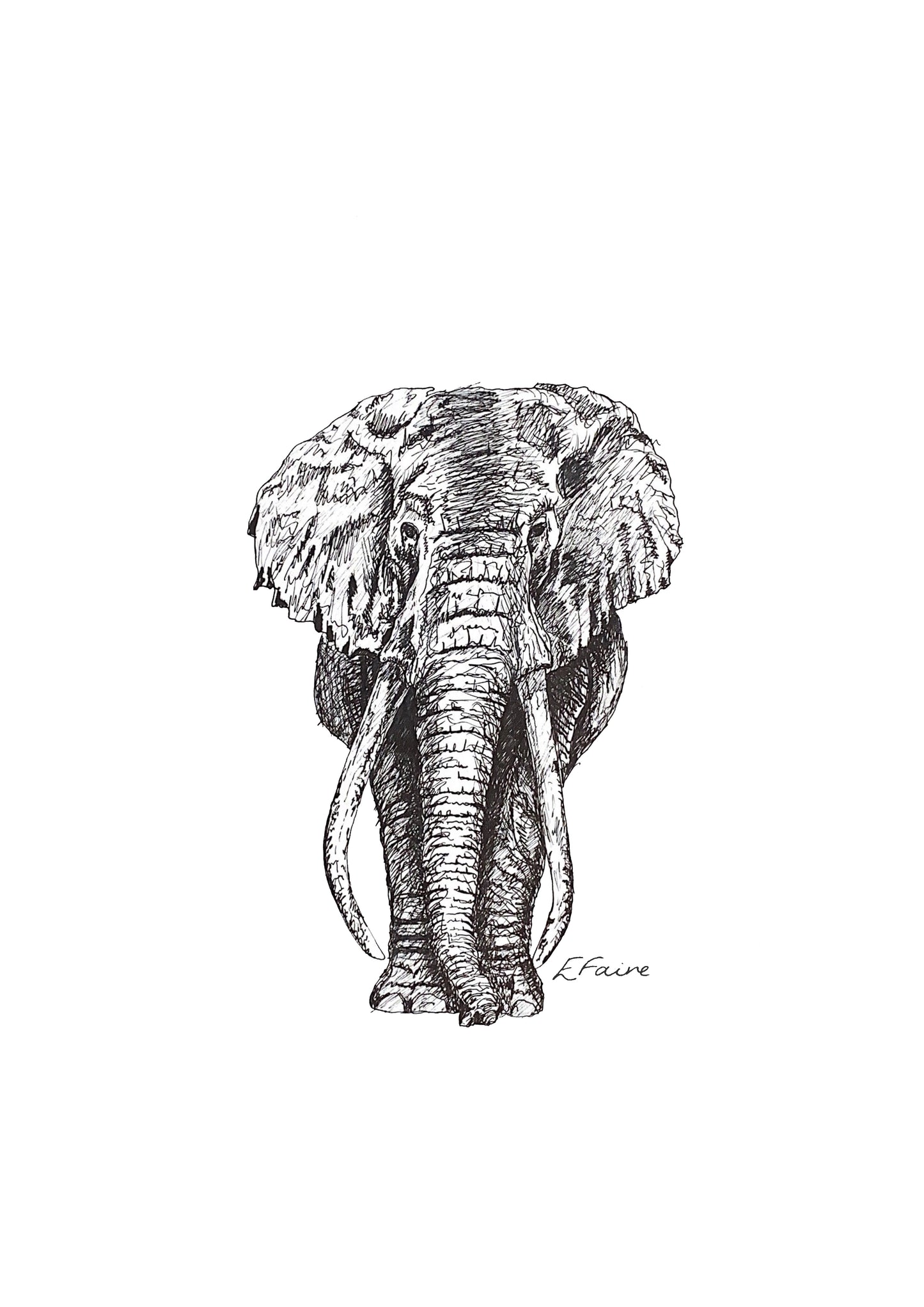 A3 'Ems' Elephant Print