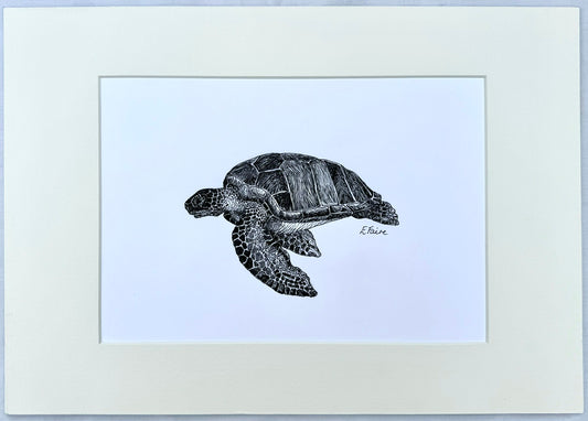 Turtle Original Artwork