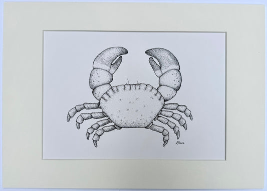 Crab 2 Original Framed