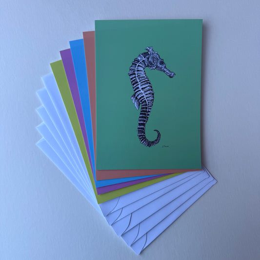 'Sebastian' Seahorse Postcards - Neon