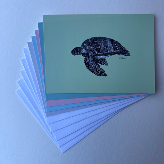 'Terry' Turtle Postcards - Pastel