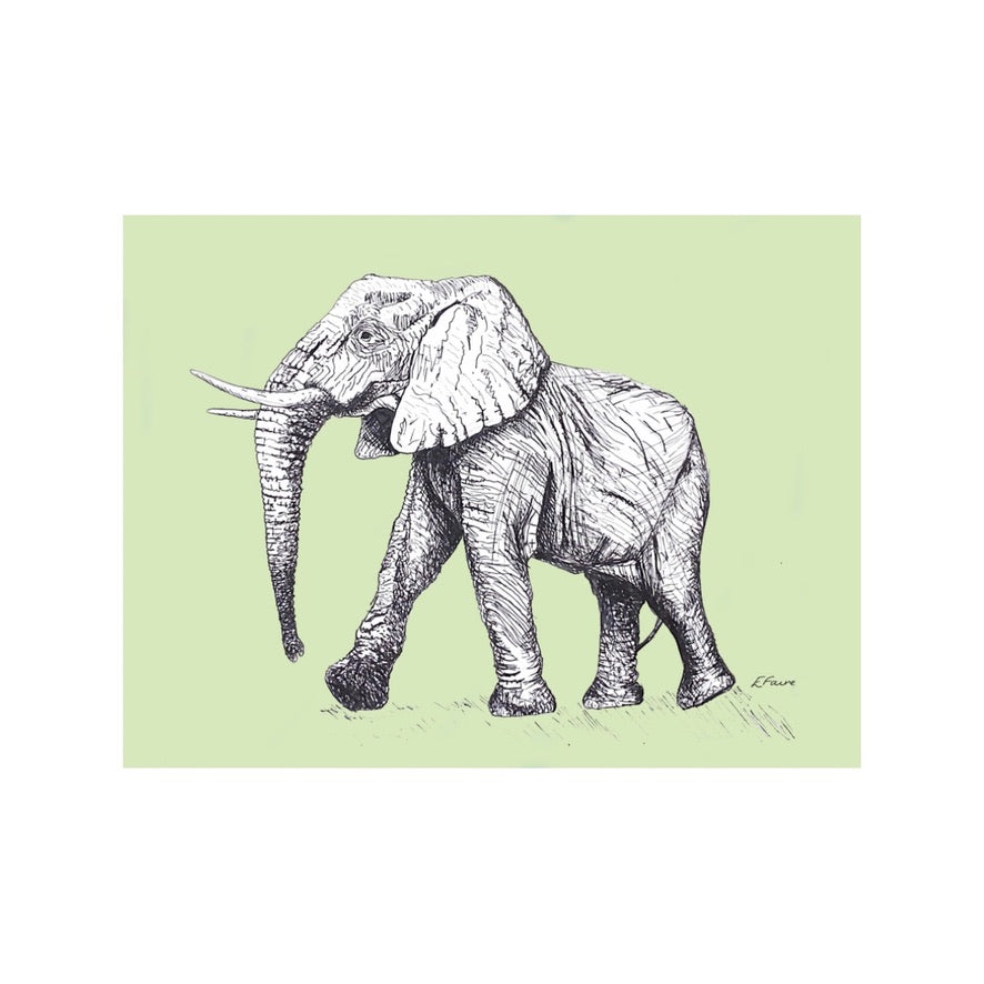 'Edward' Elephant Postcards - Pastel