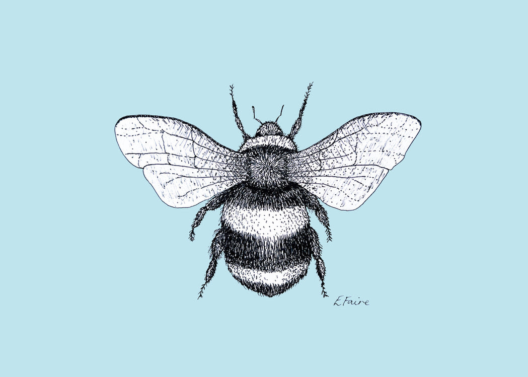 'Belinda' Bumblebee Postcards - Pastel