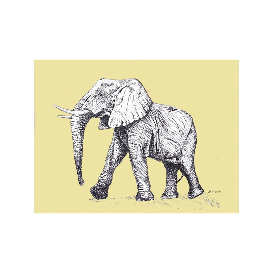 'Edward' Elephant Postcards - Neon