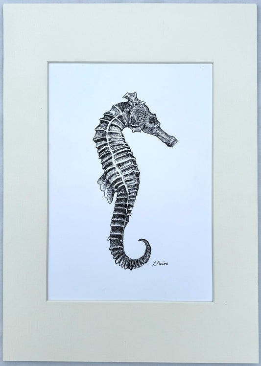 A3 'Sebastian' Seahorse Print