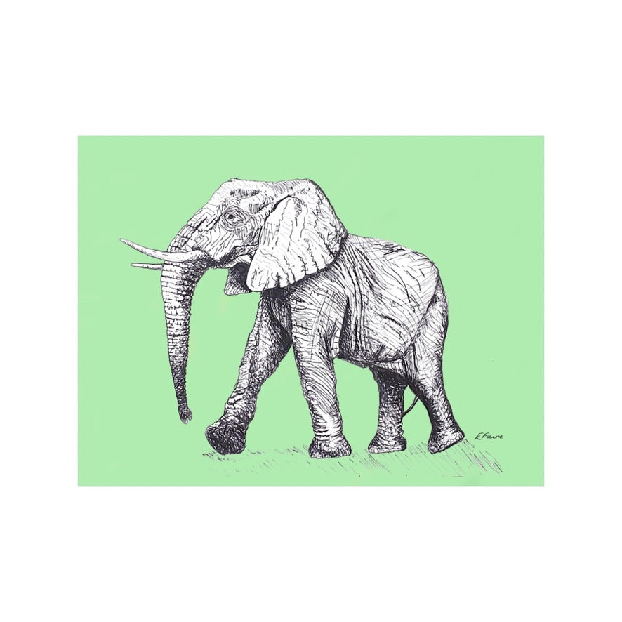 'Edward' Elephant Postcards - Neon
