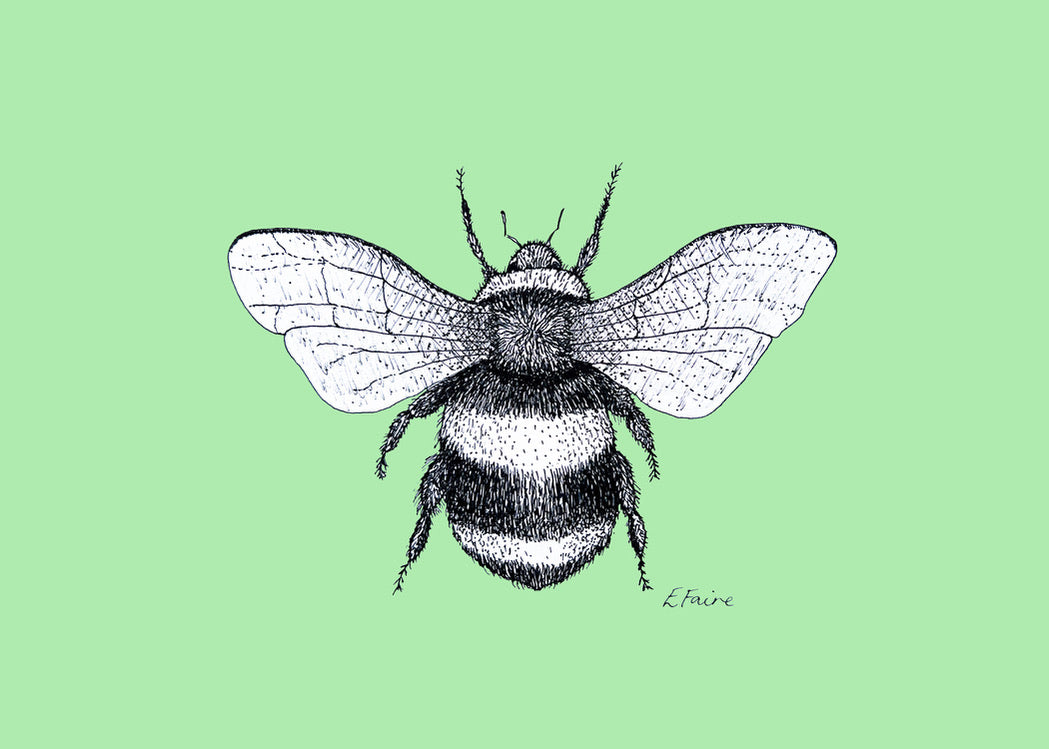 'Belinda' Bumblebee Postcards - Neon