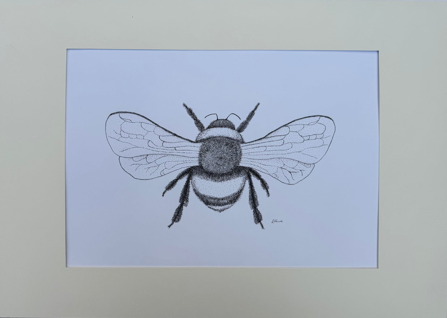 Bumblebee Original Framed