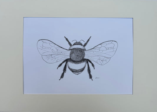 Bumblebee Original Framed