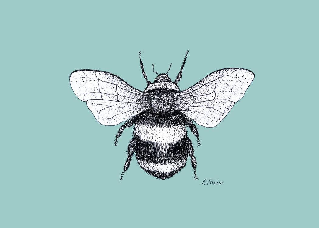 'Belinda' Bumblebee Postcards - Pastel