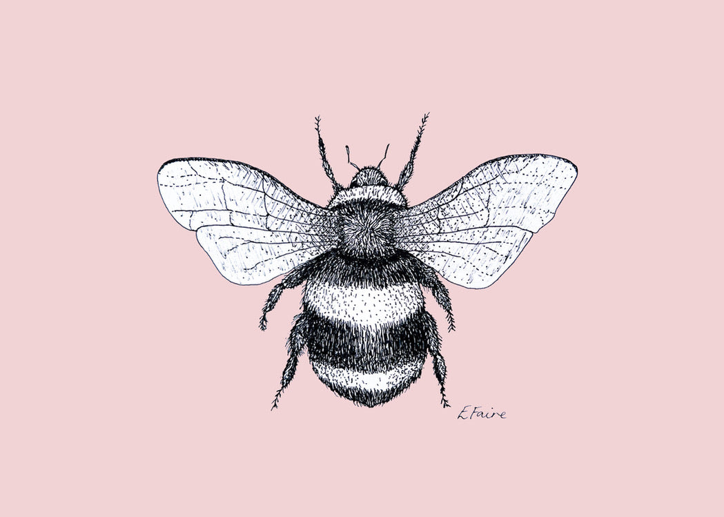 'Belinda' Bumblebee Postcards - Pastel