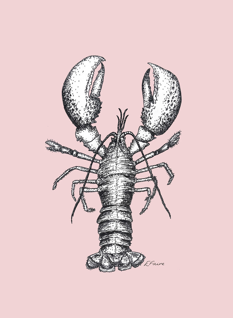'Larry' Lobster Postcards - Pastel