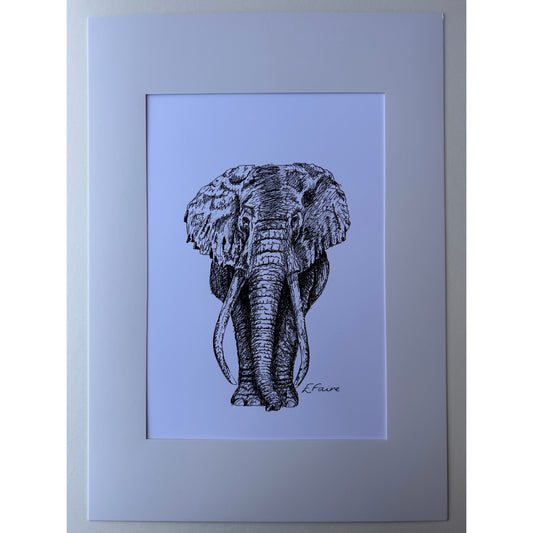 A3 'Ems' Elephant Print