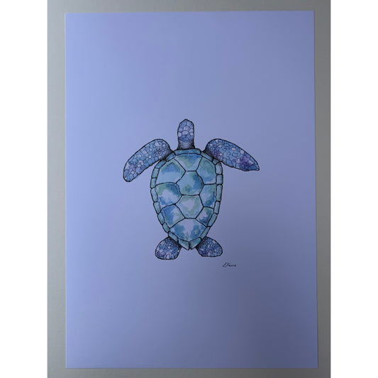 A3 Marine Collection Turtle Print