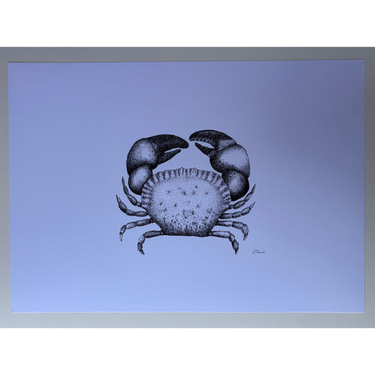 A3 'Kevin' Cromer Crab Print