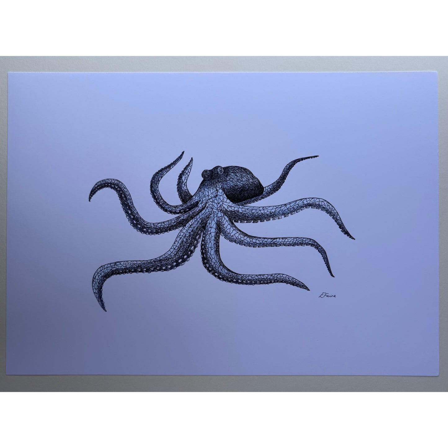 A3 Marine Collection Octopus Print