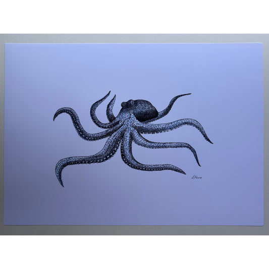 A3 Marine Collection Octopus Print
