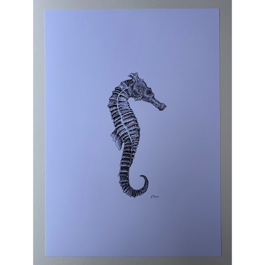 A3 'Sebastian' Seahorse Print
