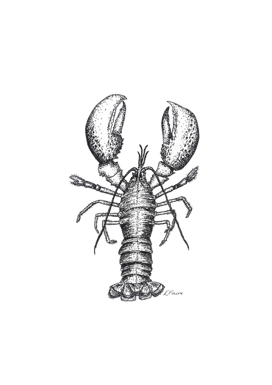 A3 'Larry' Lobster Print