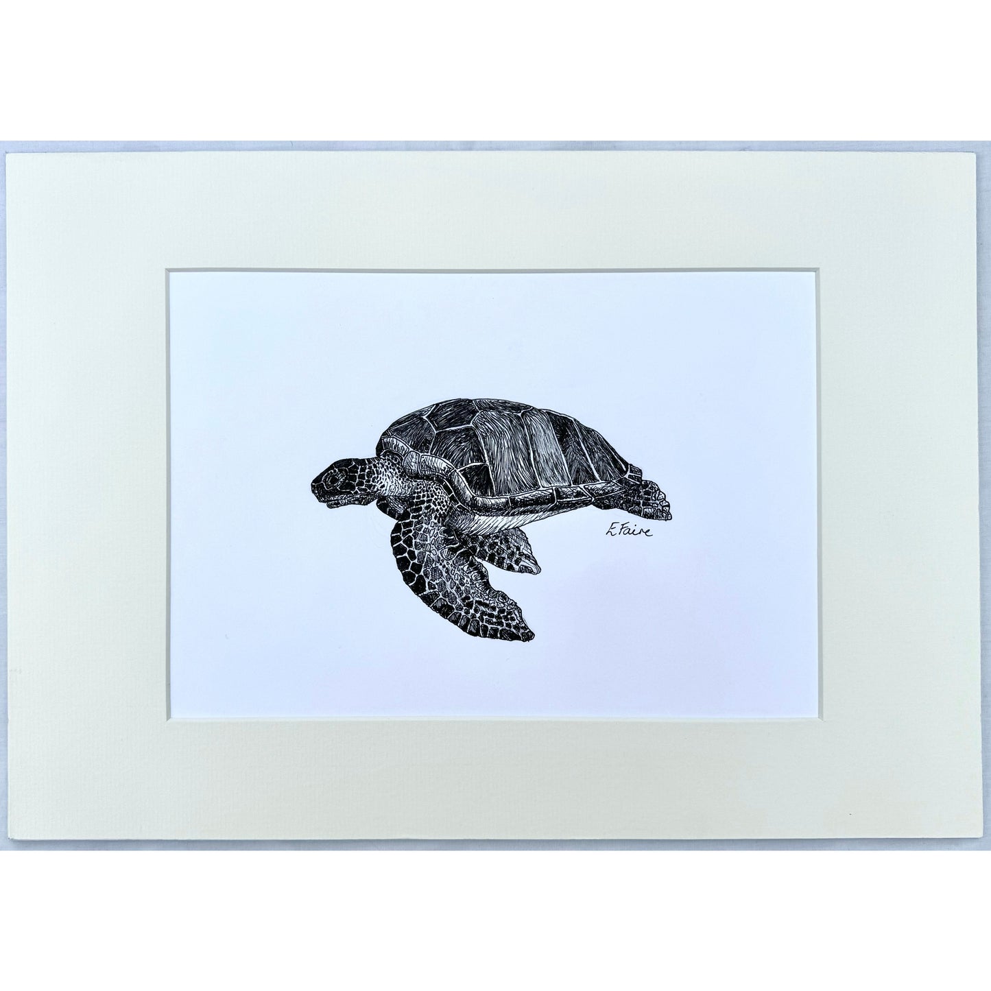 Turtle Original Artwork