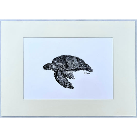 Turtle Original Artwork