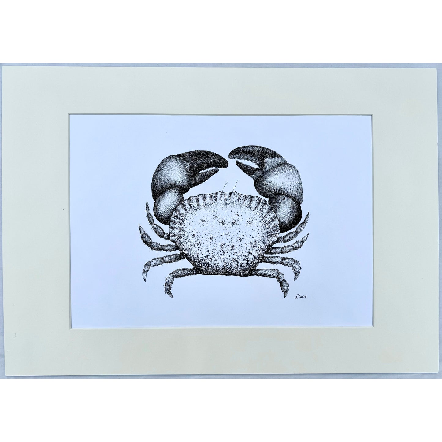 Crab Original Mounted Artwork