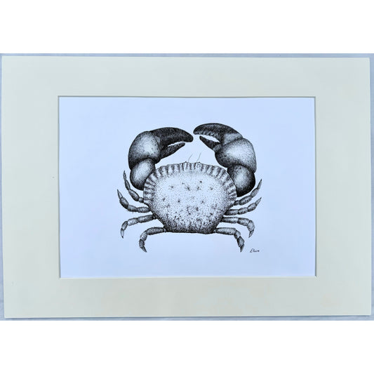 Crab Original Mounted Artwork