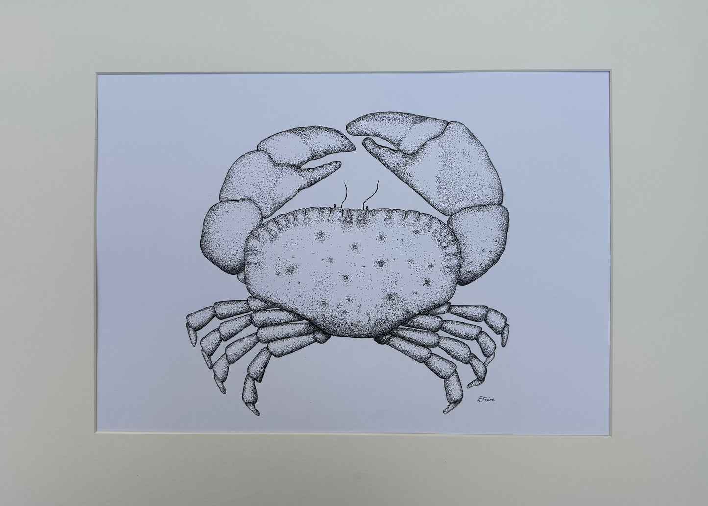 Crab Original Framed