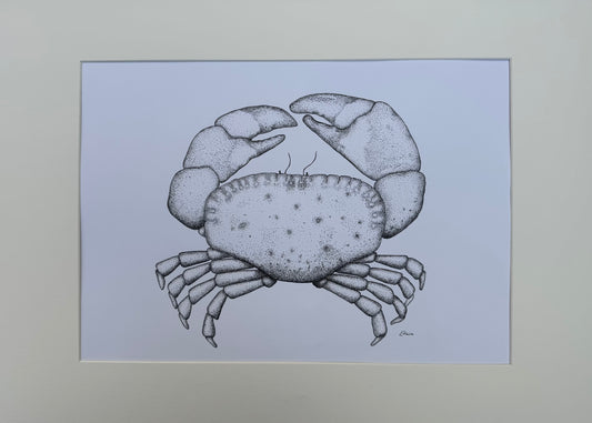 Crab Original Framed