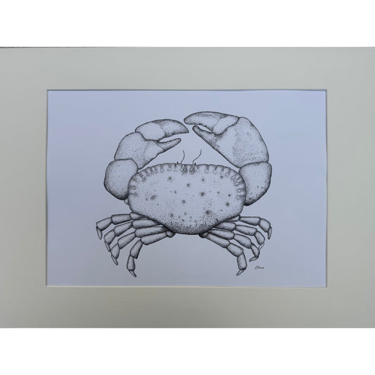 Crab Original Framed