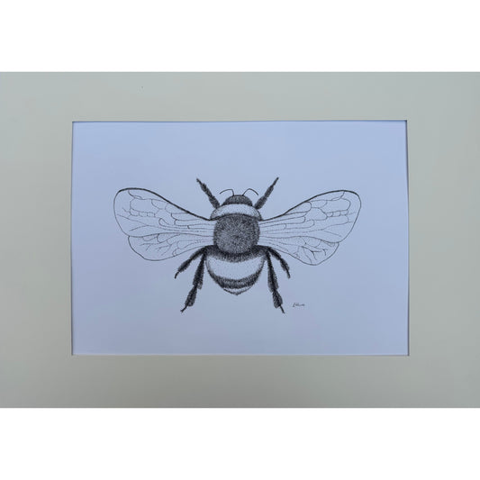 Bumblebee Original Framed