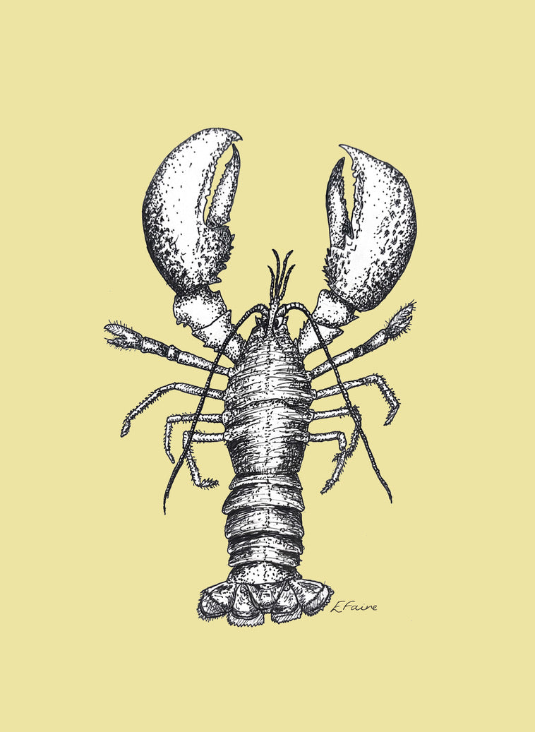 'Larry' Lobster Postcards - Neon