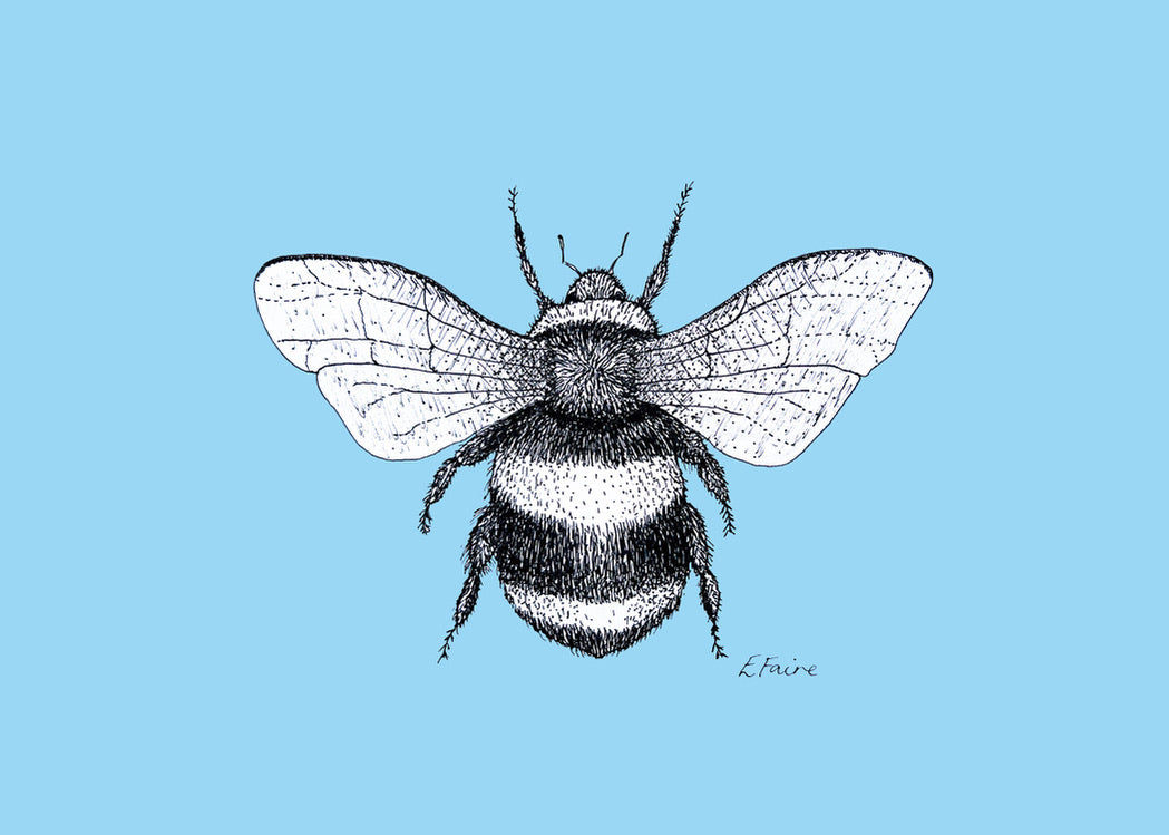 'Belinda' Bumblebee Postcards - Neon