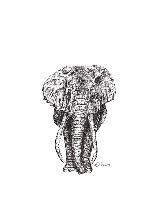 A3 'Ems' Elephant Print