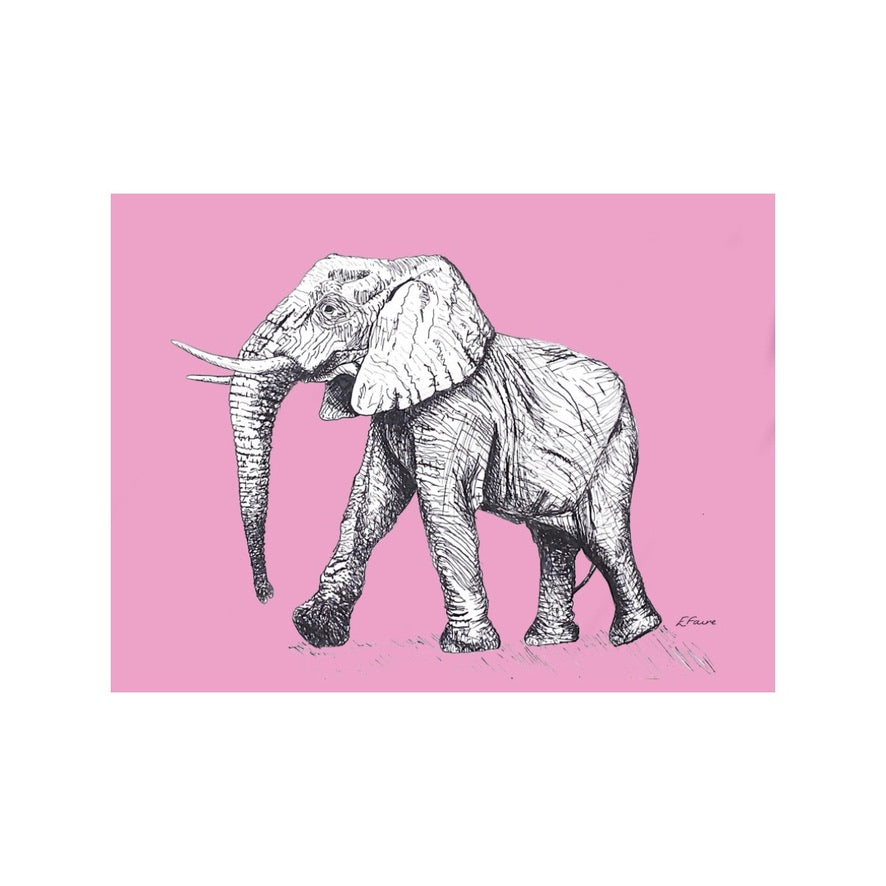 'Edward' Elephant Postcards - Neon