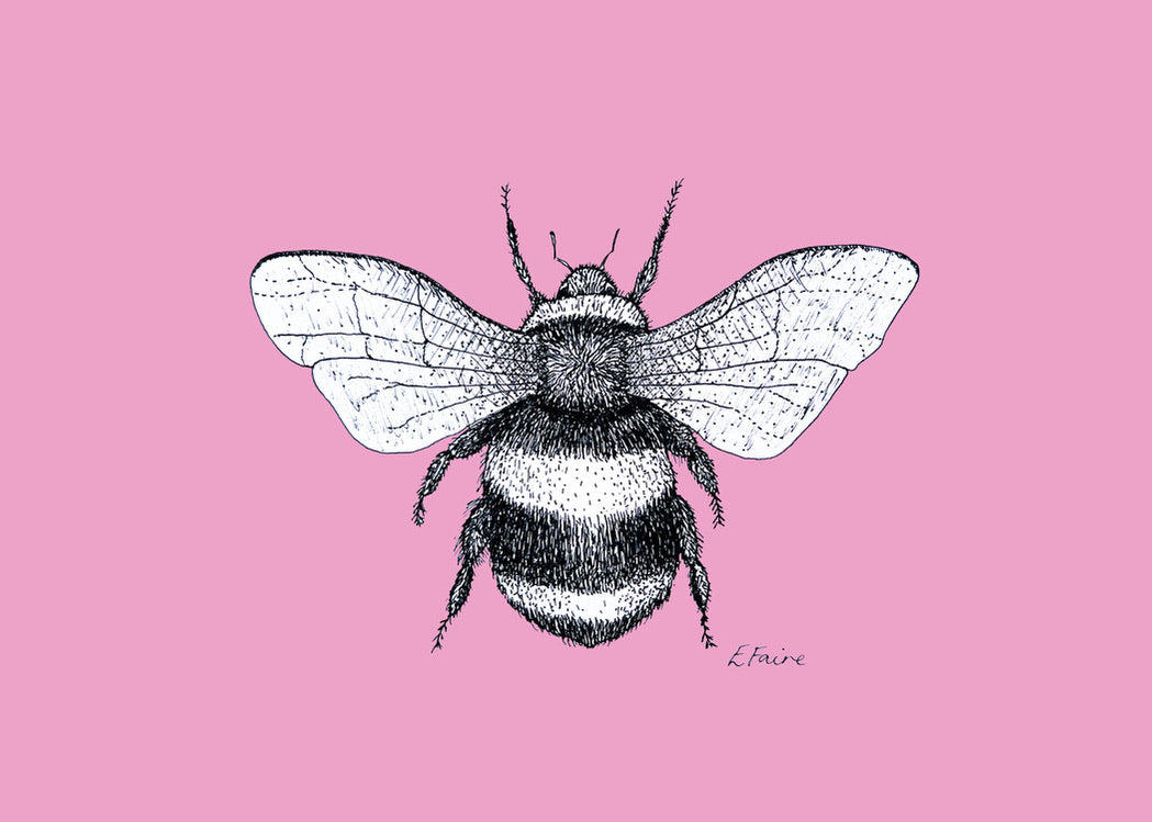 'Belinda' Bumblebee Postcards - Neon