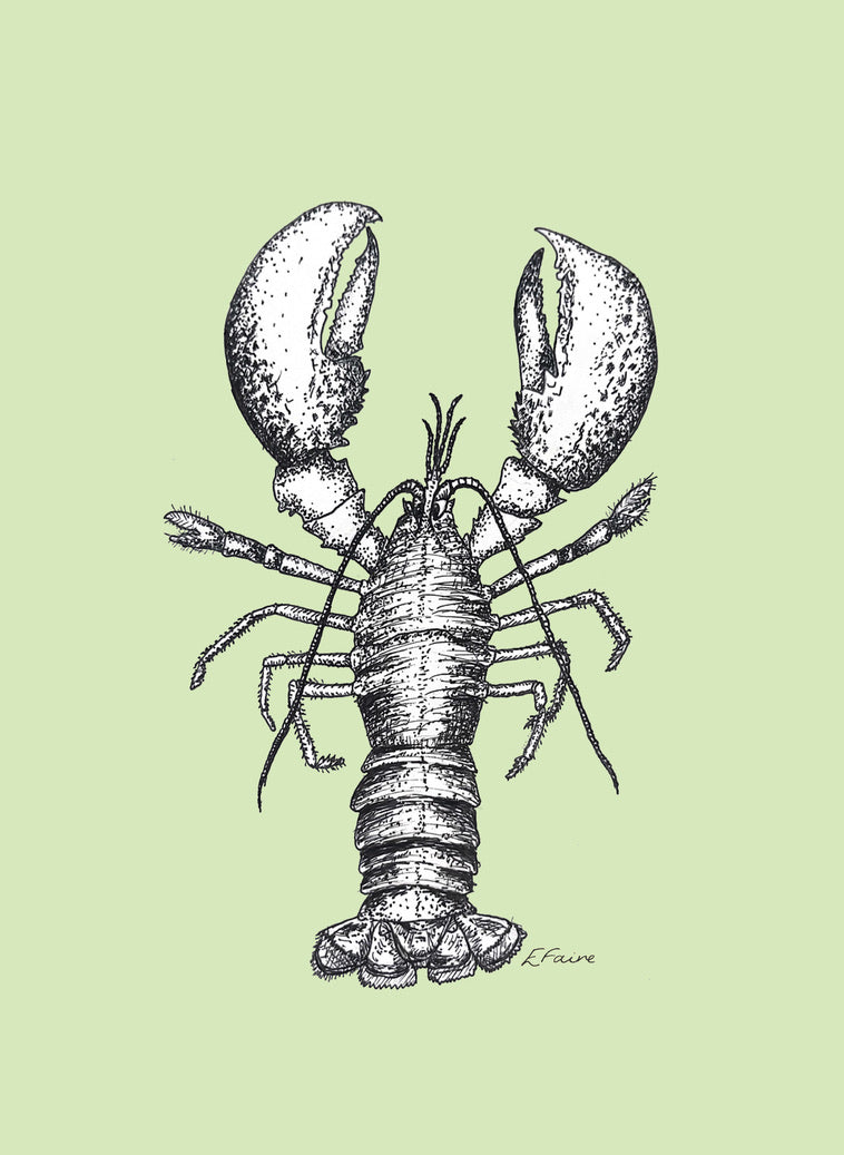 'Larry' Lobster Postcards - Pastel