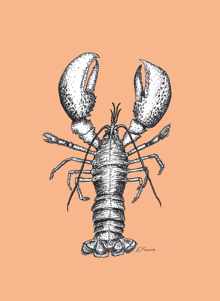 'Larry' Lobster Postcards - Neon