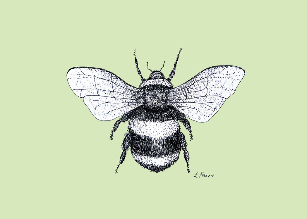 'Belinda' Bumblebee Postcards - Pastel
