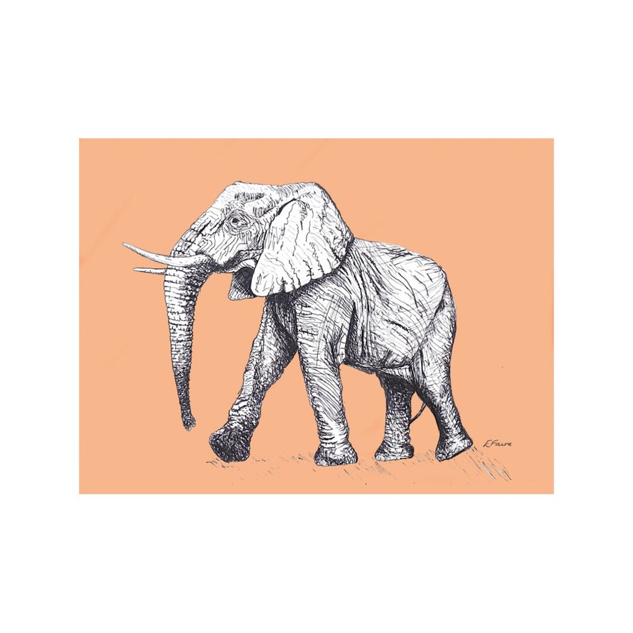 'Edward' Elephant Postcards - Neon