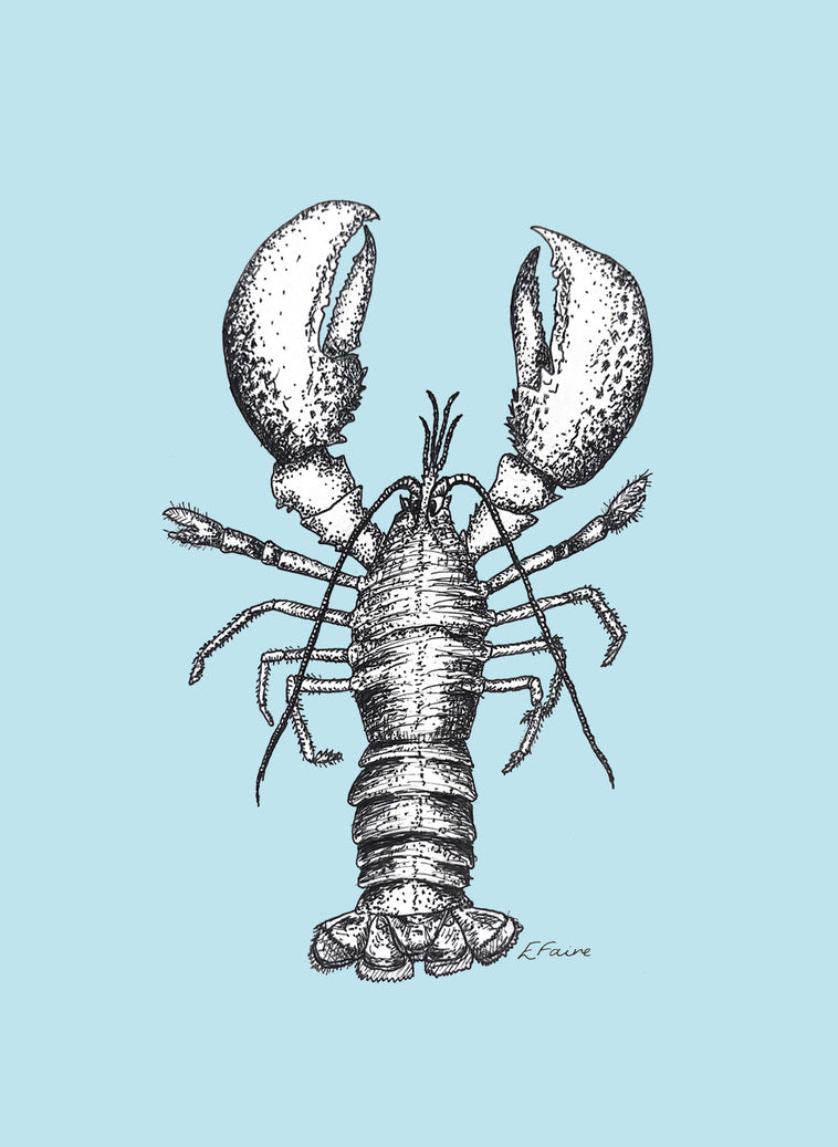 'Larry' Lobster Postcards (A6) - Pastel