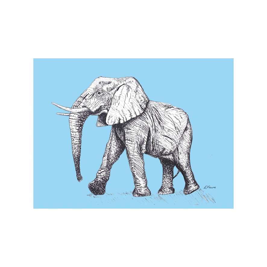 'Edward' Elephant Postcards - Neon