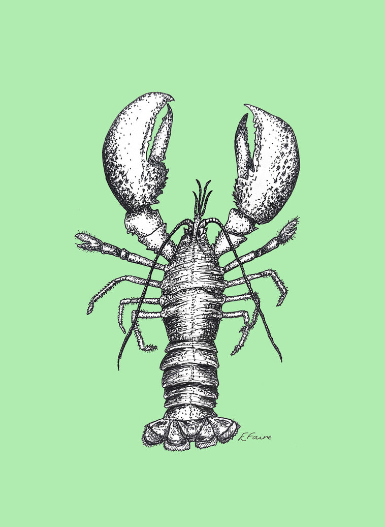 'Larry' Lobster Postcards - Neon