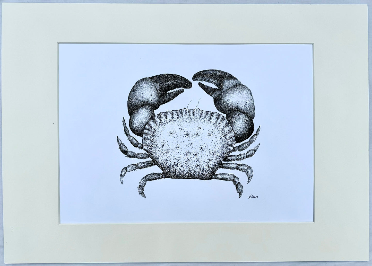 Crab Original Mounted Artwork