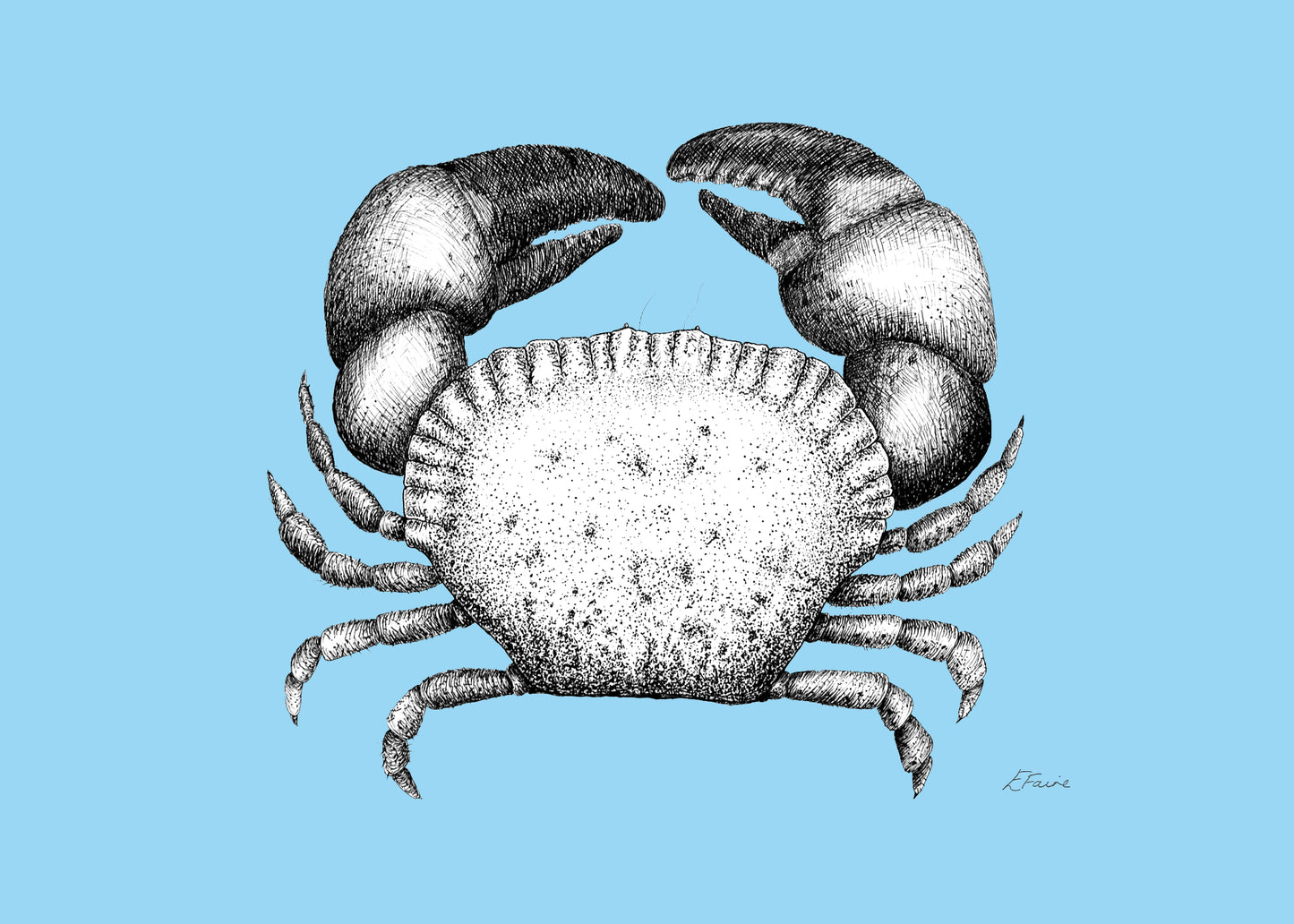 'Kevin' Cromer Crab Postcards - Neon