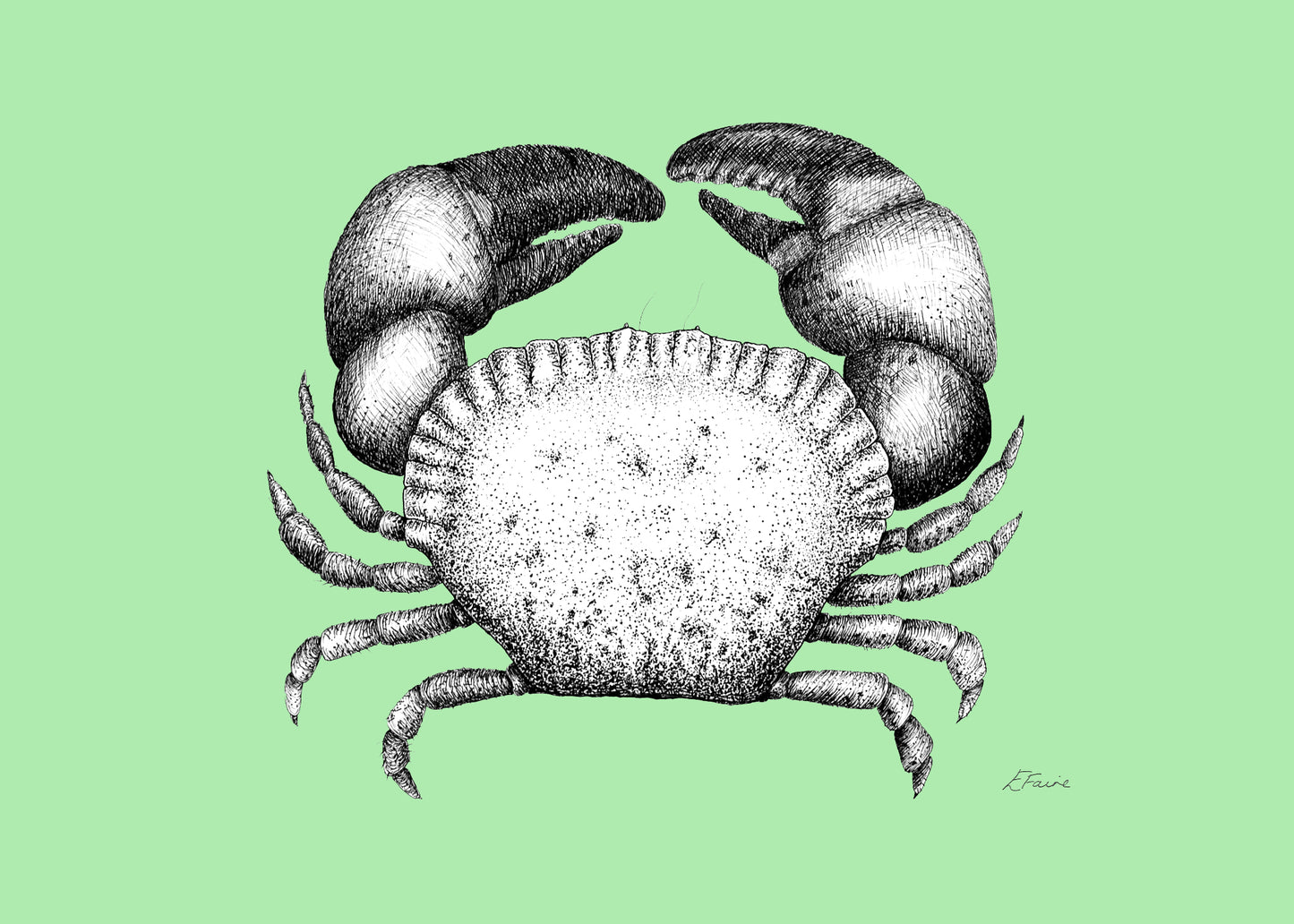 'Kevin' Cromer Crab Postcards - Neon
