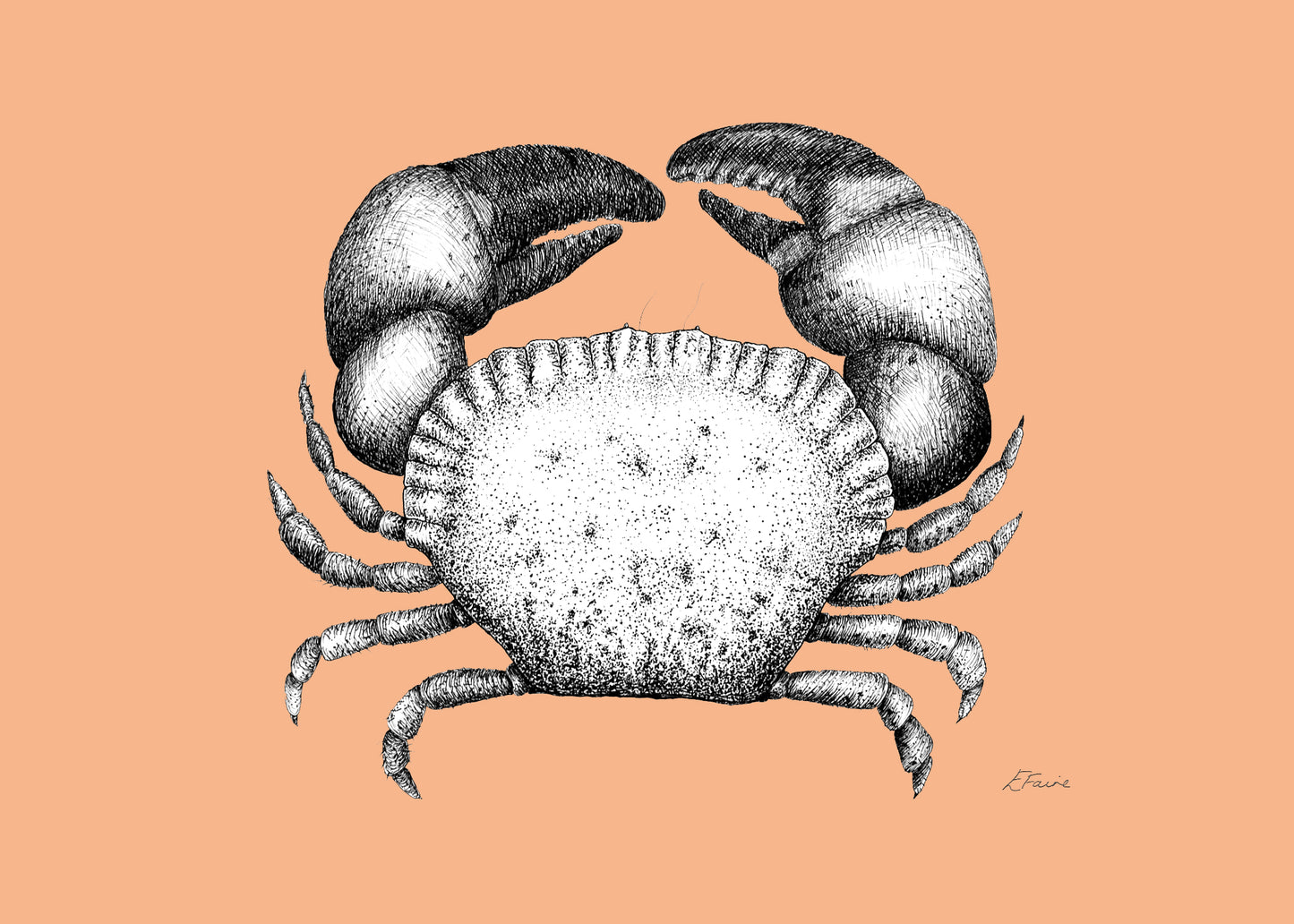 'Kevin' Cromer Crab Postcards - Neon