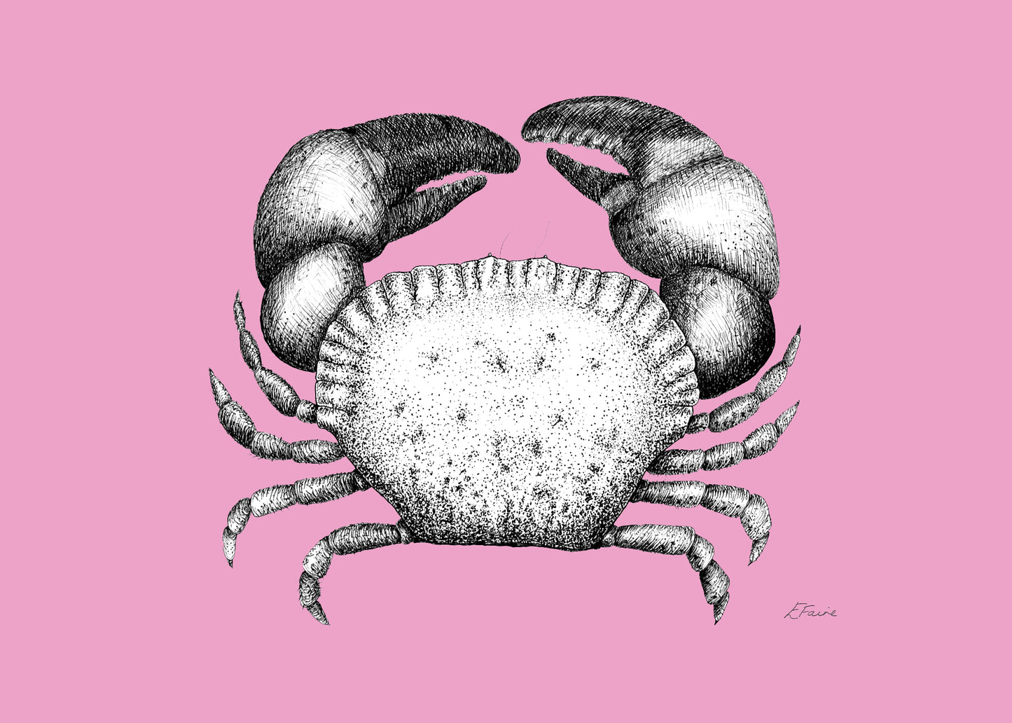 'Kevin' Cromer Crab Postcards - Neon