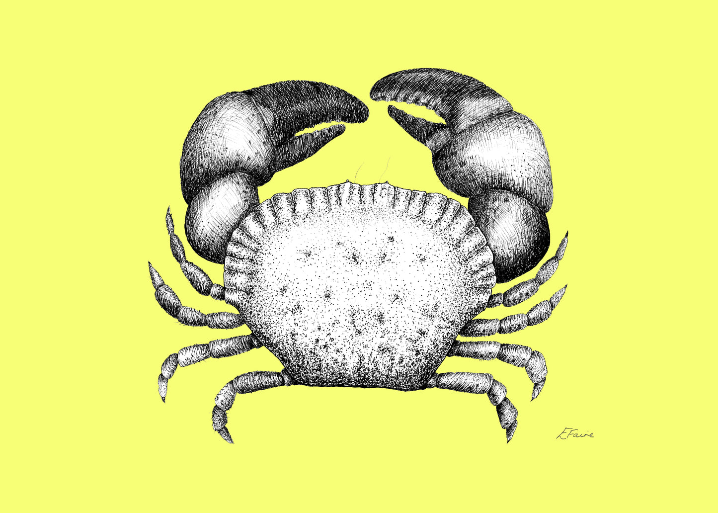 'Kevin' Cromer Crab Postcards - Neon